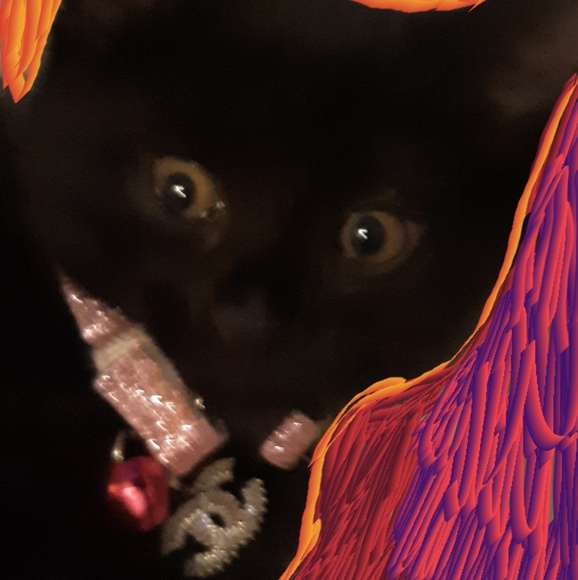 Coco Chanel Love - Picture 2 of 5